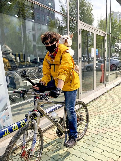 Person on a bicycle outside city shops with a small dog riding in a carrier on their back