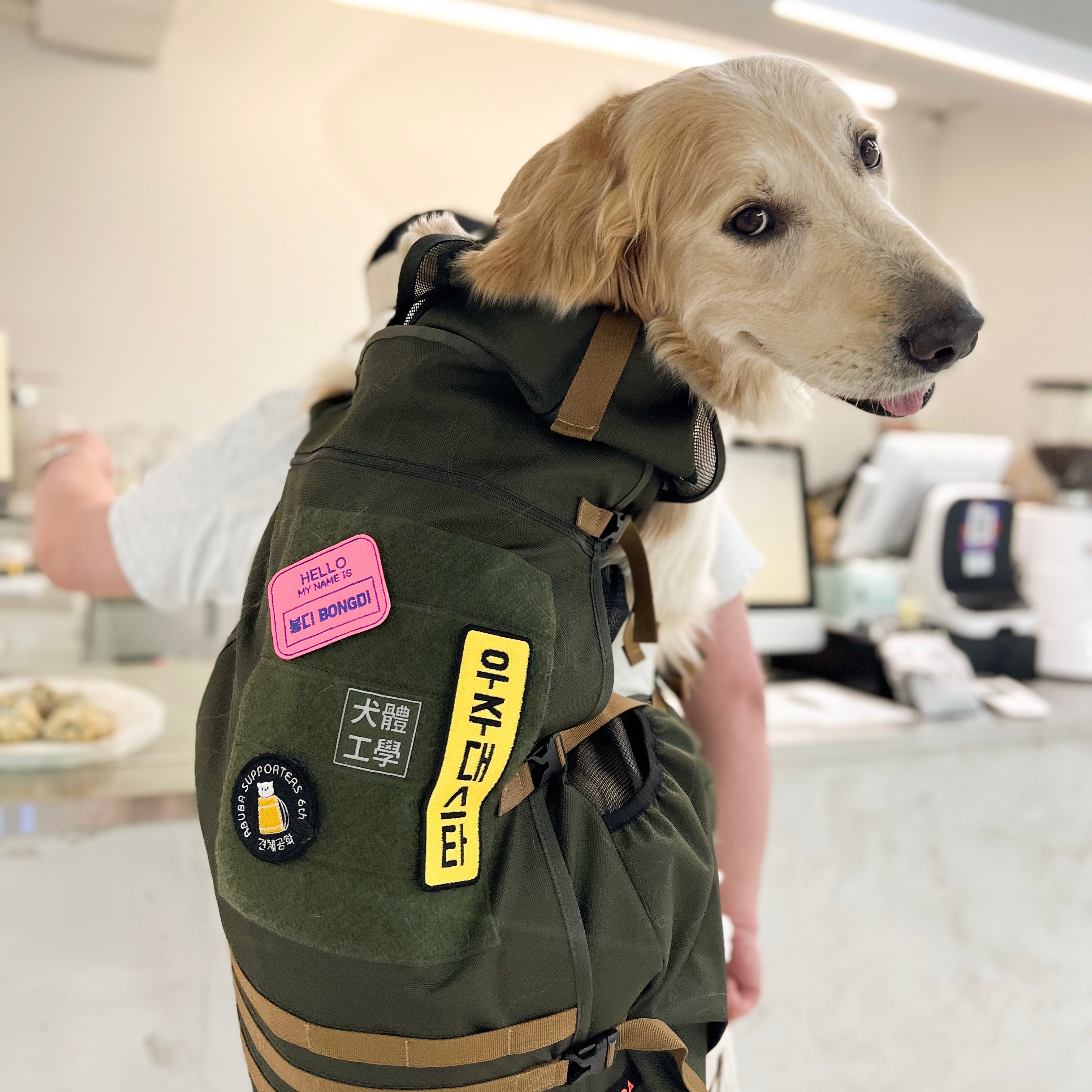 Army sales dog backpack