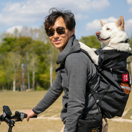 Dog carrier 2024 backpack near me