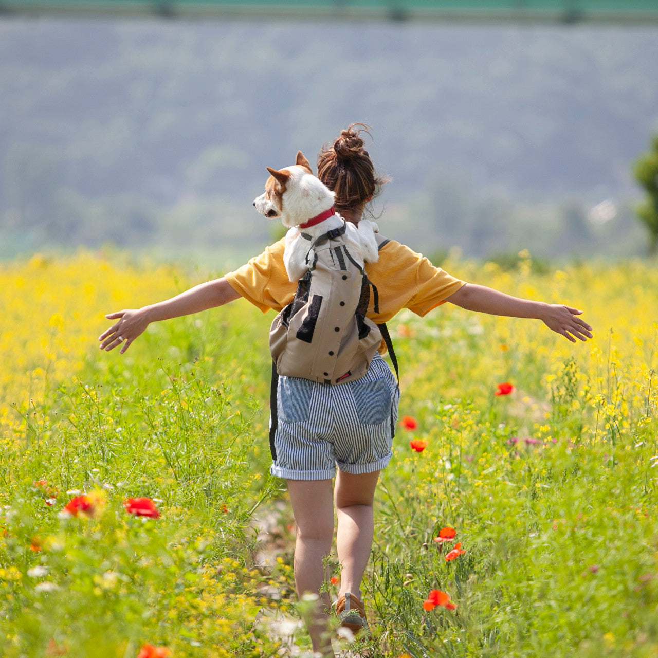 ABUBA Lite 2 - Dog Carrier Backpack