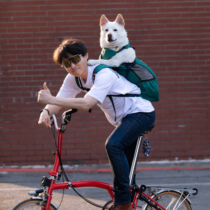 ABUBA Lite 2 - Dog Carrier Backpack