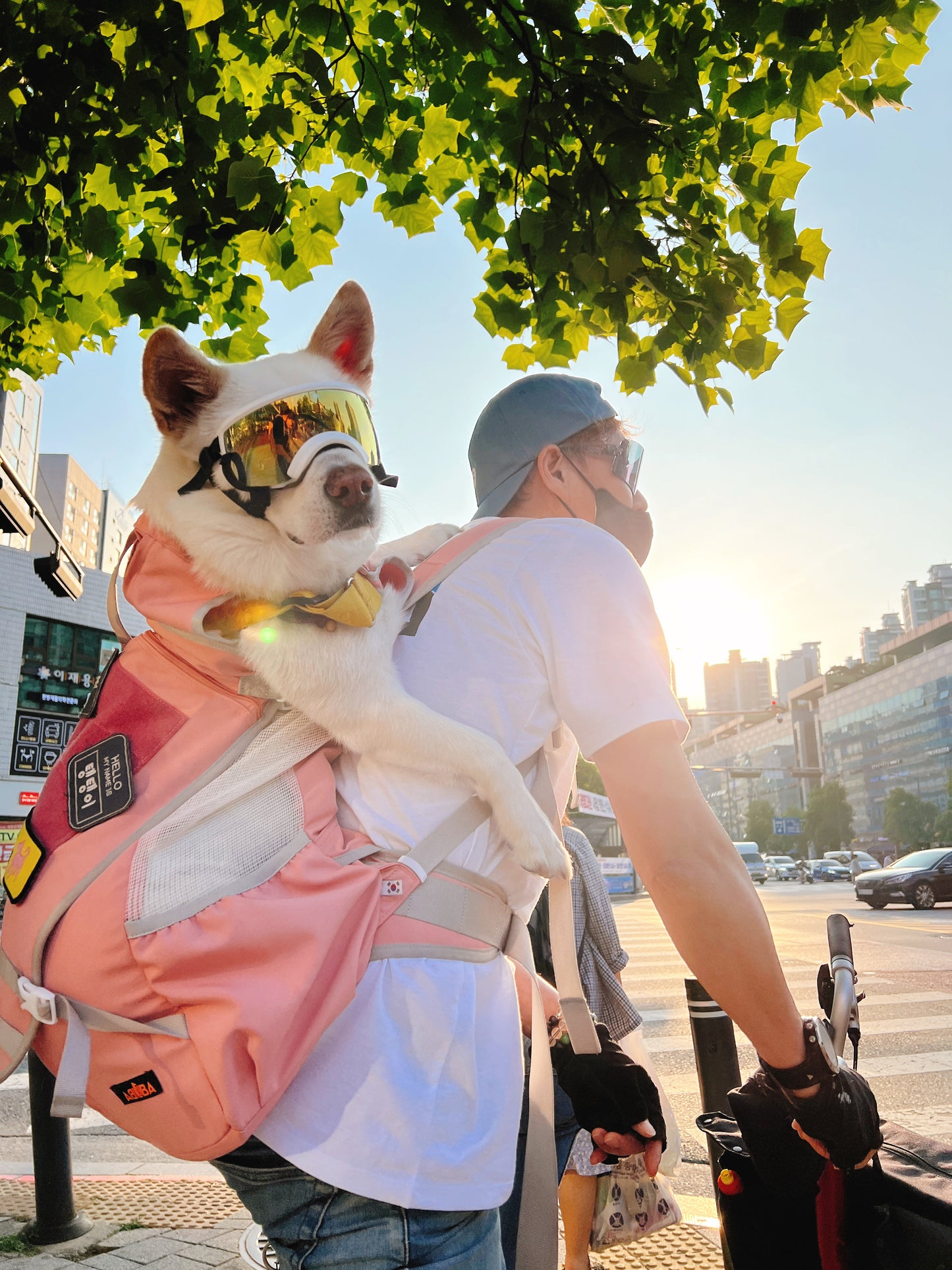 ABUBA 3 – プレミアム犬用キャリーバックパック｜軽量で快適