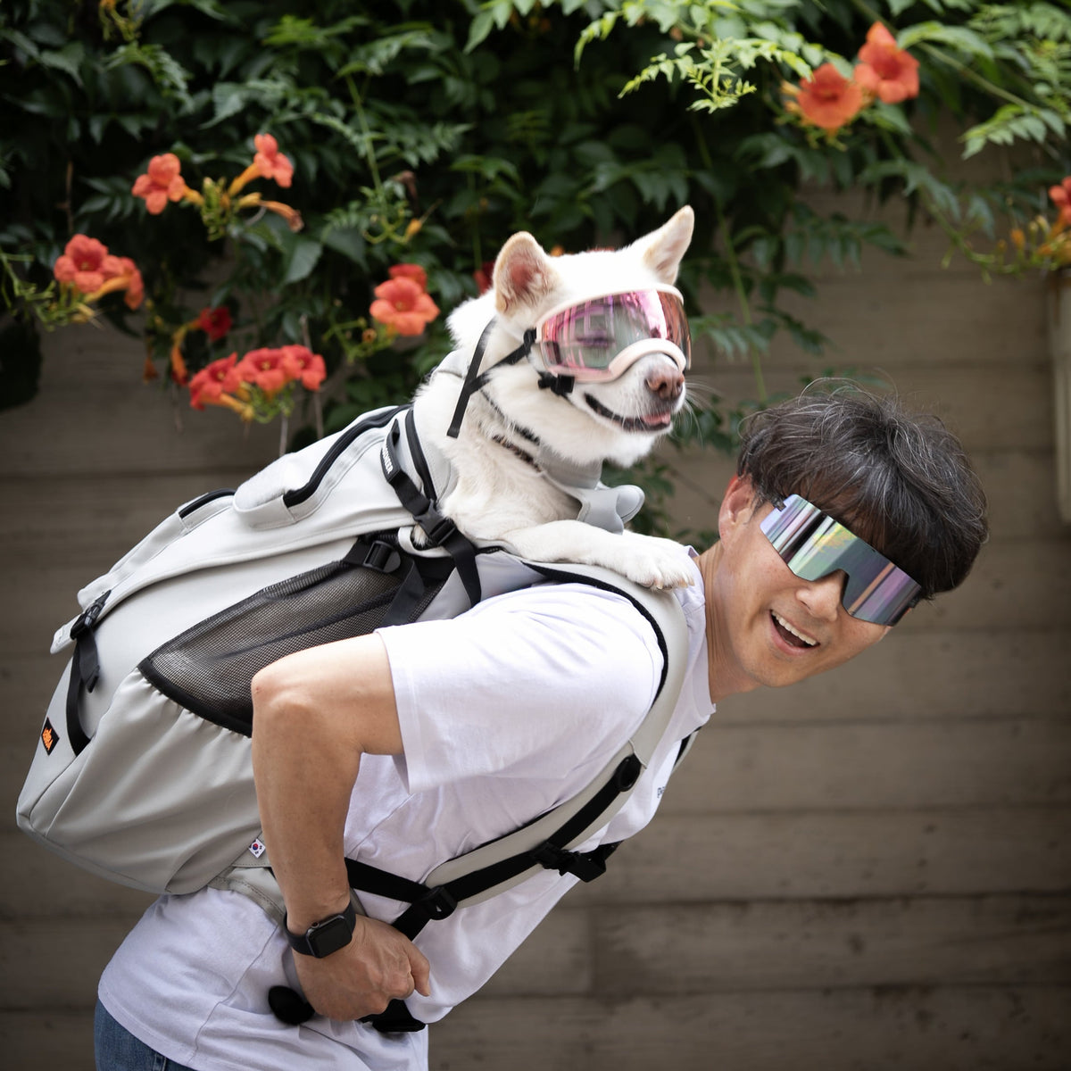 ABUBA4 dog carrier backpack
