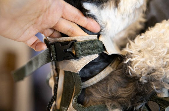 Neck strap