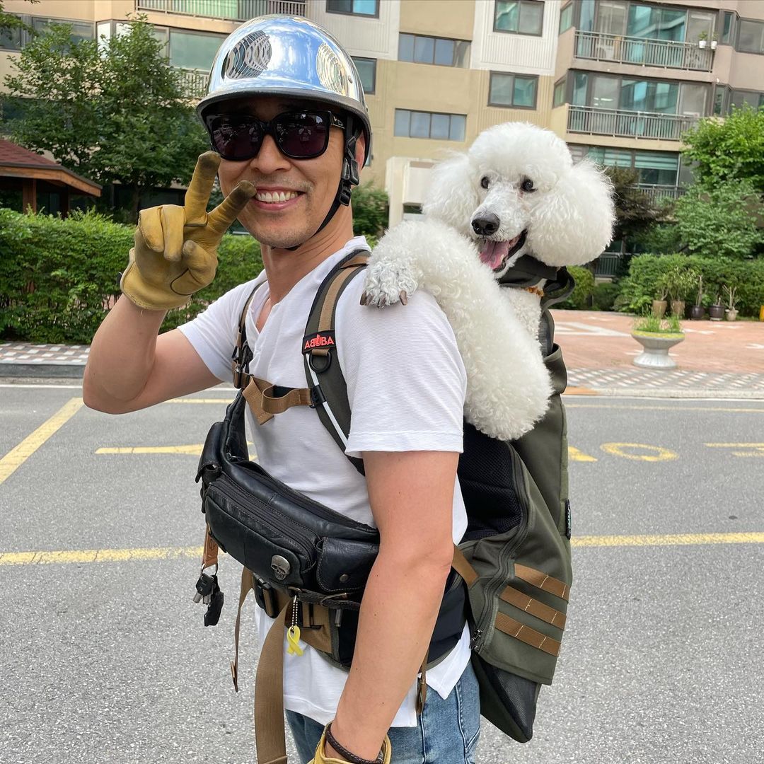 Dog store back carrier